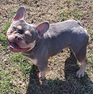 Meet your Posher, Shelly